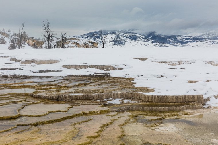 64 Yellowstone NP.jpg